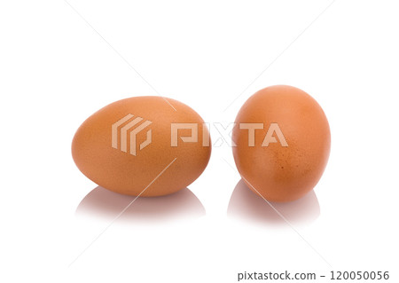Egg. Isolated on white background Egg. Isolated on white background 120050056