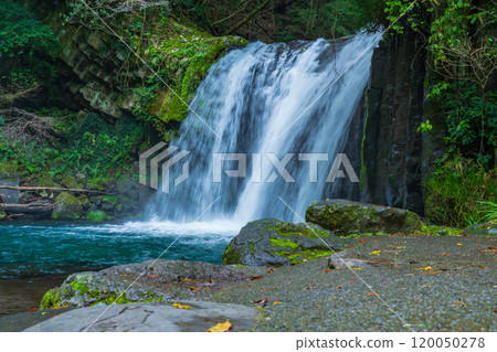 Izu Peninsula, Shizuoka Prefecture, Kawazu Seven Waterfalls, Hatsuke Waterfall Izu Peninsula, Shizuoka Prefecture, Kawazu Seven Waterfalls, Hatsuke Waterfall 120050278