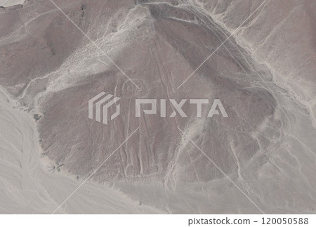 [秘魯] 納斯卡線條 120050588