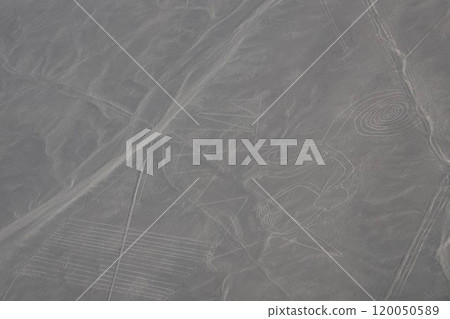 [秘魯] 納斯卡線條 120050589