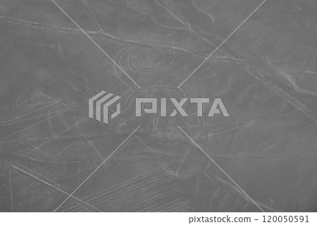 [Peru] Nazca Lines 120050591