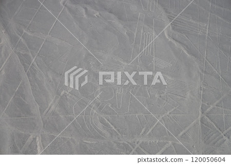 [Peru] Nazca Lines 120050604