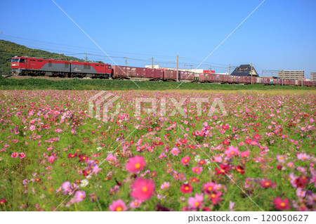 宇宙田貨運列車（JR貨運EH500型） 120050627