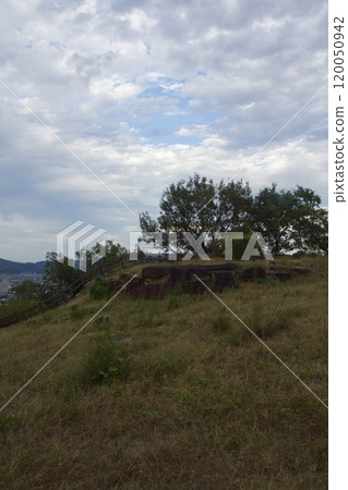 龜島花到綠之丘公園的夜景 龜島花到綠之丘公園的夜景 120050942