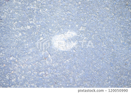 Wild boar footprints on the asphalt Wild boar footprints on the asphalt 120050990