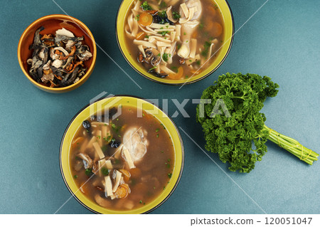 Bowl of chicken noodle soup. Bowl of chicken noodle soup. 120051047