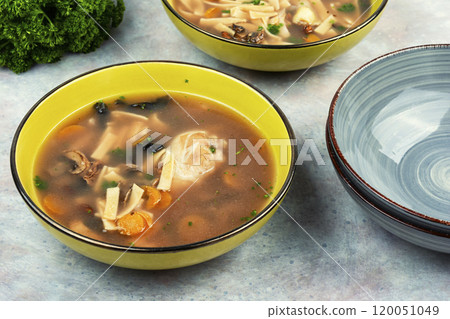 Bowl of chicken soup. 120051049