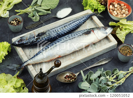 tasty raw mackerel fish 120051052