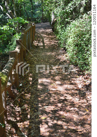 Nunobiki Falls Promenade in Kobe 120051164