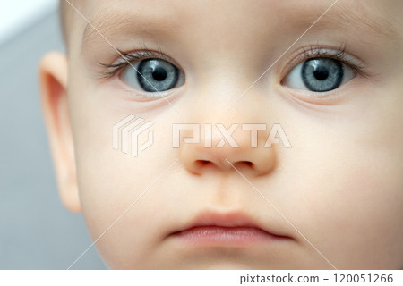 Close-up of a toddler baby gazing at the camera with calm face 120051266