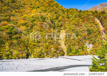 [Shizuoka Prefecture] Beautiful autumn foliage at Lake Hatanagi, seen from the upper reaches of the lake 120051937