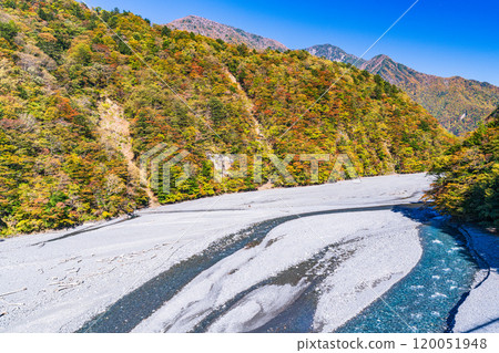 [靜岡縣] 波多納吉湖的紅葉美麗，從波多納吉吊橋看到的上游部分 120051948