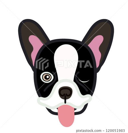 法國鬥牛犬臉圖 法國鬥牛犬臉圖 120051983