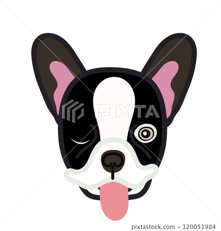 法國鬥牛犬臉圖 法國鬥牛犬臉圖 120051984