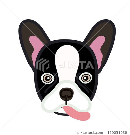 法國鬥牛犬臉圖 法國鬥牛犬臉圖 120051986