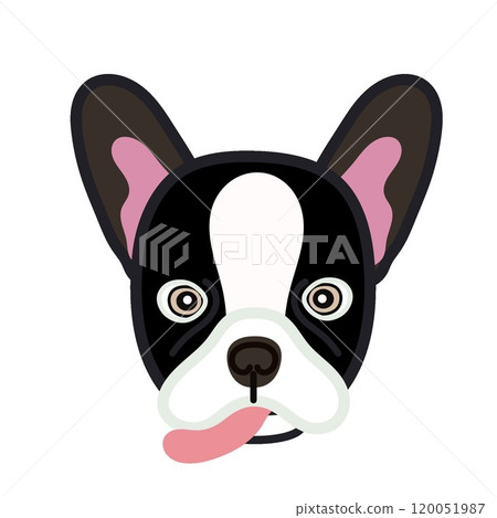 法國鬥牛犬臉圖 法國鬥牛犬臉圖 120051987