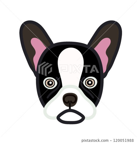 法國鬥牛犬臉圖 法國鬥牛犬臉圖 120051988