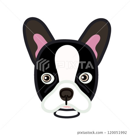 French bulldog face illustration 120051992