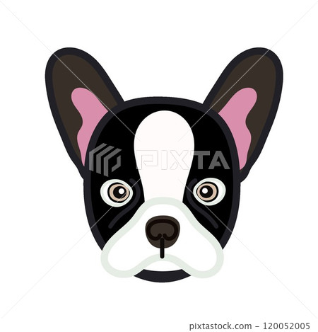 French bulldog face illustration French bulldog face illustration 120052005