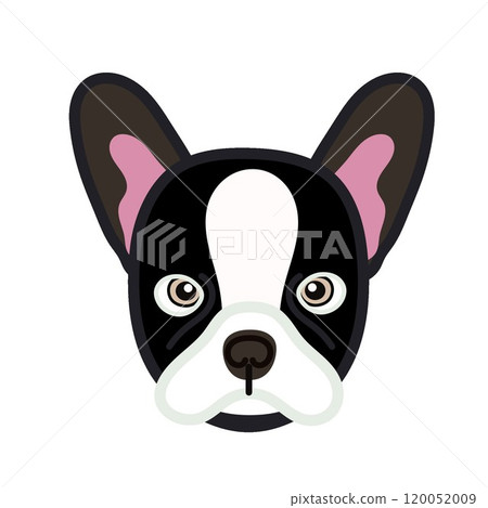 法國鬥牛犬臉圖 120052009