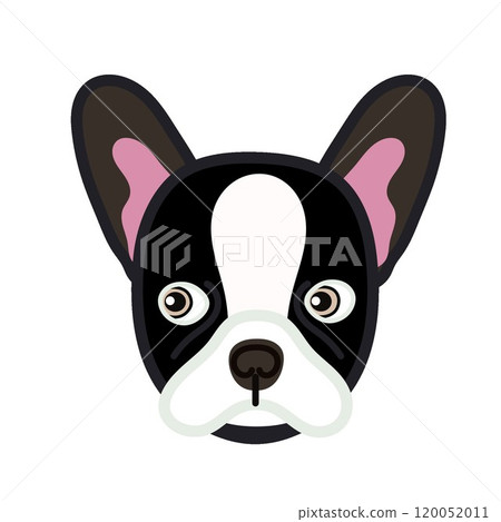法國鬥牛犬臉圖 120052011