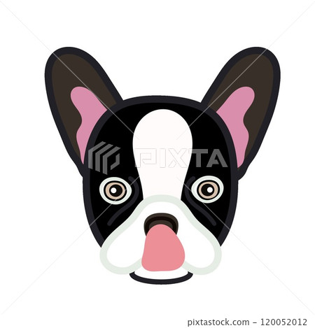 法國鬥牛犬臉圖 120052012