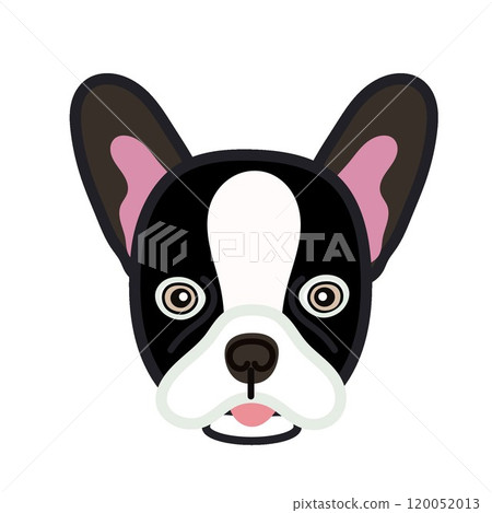 法國鬥牛犬臉圖 120052013