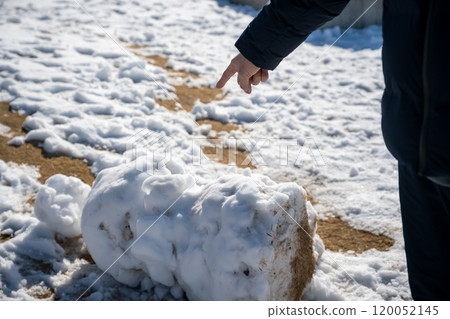 Cold winter image Cold winter image 120052145