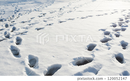 Cold winter image 120052147