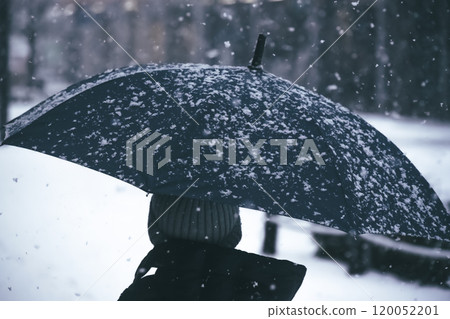Cold winter image 120052201