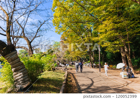 Kichijoji: Inokashira Park on an autumn holiday 120052399