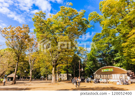Kichijoji: Inokashira Park on an autumn holiday 120052400
