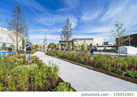 Scenery of Fujimi Park in Kawasaki [Kawasaki - Stock Photo