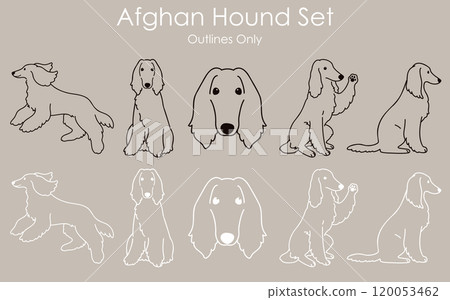 Simple and cute Afghan hound line drawing set Simple and cute Afghan hound line drawing set 120053462