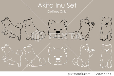 簡單可愛的秋田犬線條畫套裝 120053463