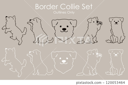 簡單可愛的邊境牧羊犬線描套裝 120053464