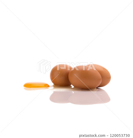 Egg. Isolated on white background 120053730