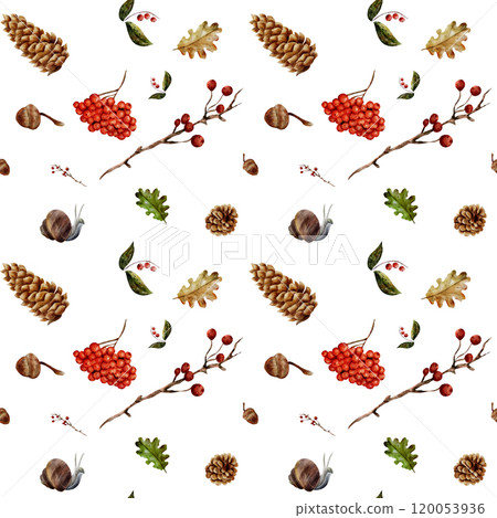 Seamless pattern. Pinecone, rowan, acorn, twigs, leaves, snail. Watercolor set of fall elements in realistic style on white background. Hand drawn. For cards, invitations, design Seamless pattern. Pinecone, rowan, acorn, twigs, leaves, snail. Watercolor set of fall elements in realistic style on white background. Hand drawn. For cards, invitations, design 120053936