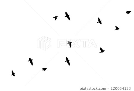 Flying birds silhouette flock. hand drawing. Not AI. Vector illustration 120054133