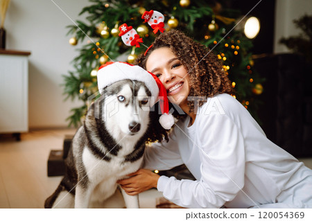 Beautiful woman playing, having fun with her dog while sitting near christmas tree. Winter holidays. 120054369