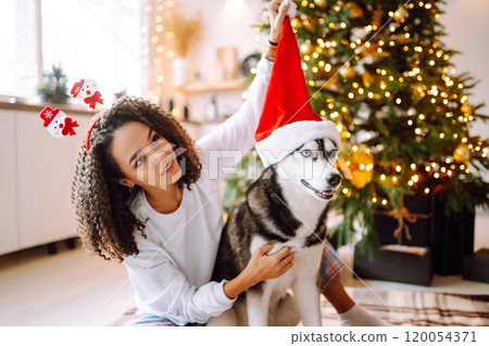 Beautiful woman playing and having fun with her dog while sitting near the christmas tree. 120054371