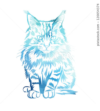 Beautiful blue cat. Maine Coon cat. hand drawing. Not AI, Vector illustration 120054374