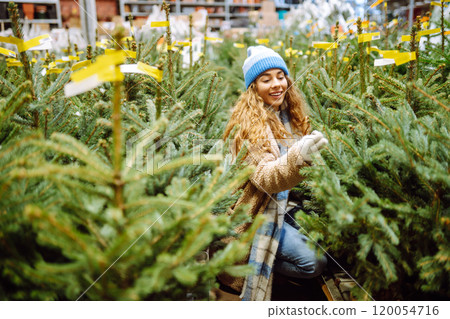 young smiling woman chooses Christmas tree to buy. Happy woman buying New Year tree for Christmas. young smiling woman chooses Christmas tree to buy. Happy woman buying New Year tree for Christmas. 120054716