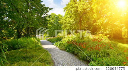 Bright sunrise, beautiful flowers and trees in the park 120054775