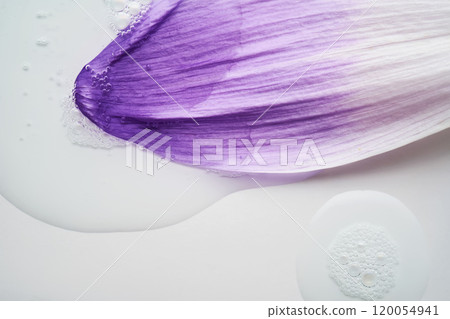 A drop of serum on a purple flower petal. 120054941