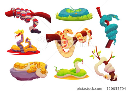 Snake on ground. Cartoon jungle animal on branch tree. Python, cobra and viper. Reptile green and red icon. Forest wildlife exotic anaconda creature. Vector venomous serpent, isolated illustration Snake on ground. Cartoon jungle animal on branch tree. Python, cobra and viper. Reptile green and red icon. Forest wildlife exotic anaconda creature. Vector venomous serpent, isolated illustration 120055704