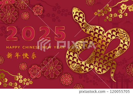 Snake New Year. 2025 Chinese background. Design banner of paper frame, gold illustration. Red graphic Asian sign. Zodiac reptile animal. Logo art China realistic. Vector horoscope celebrate poster 120055705