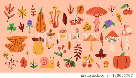 Autumn icon. Leaf, mushroom, pumpkin and berry, forest acorn. Fall leaves sticker. Kid element fall isolated elements for decor. Doodle motif Thanksgiving holiday design objects. Vector flat harvest 120055707