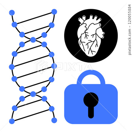 DNA strand, human heart icon, and security lock symbol are combined in a clean, flat vector style. Ideal for healthcare, genetics, security, biotechnology, and medical research themes 120055884