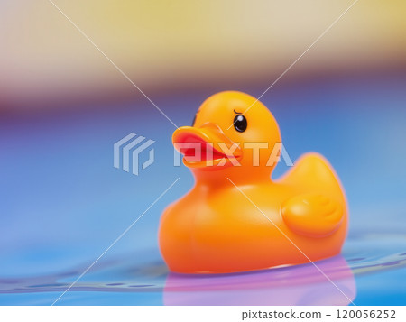 A toy rubber duck on the background of blue water. Small depth of field 120056252